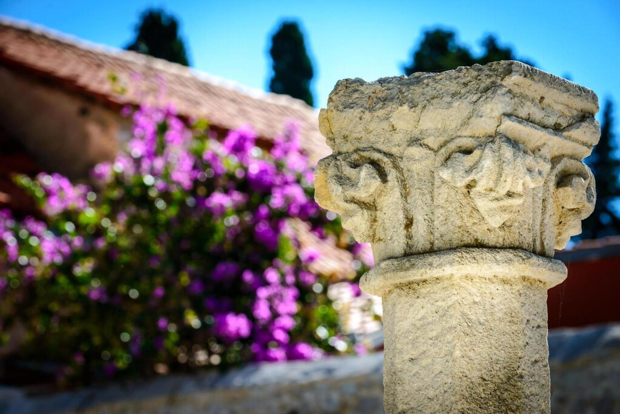 Luxury Dubrovnik Villa 6 Bedrooms Villa Gomila Perfect For Larger Groups Fantastic Sea Views Zaton Villa Zaton (Dubrovnik-Neretva)